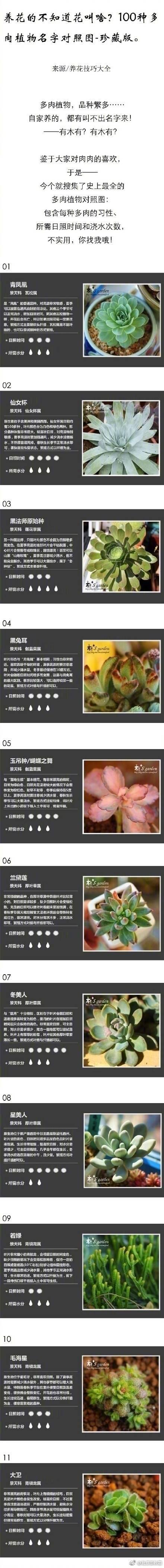 dbqQ88YB81l78Jul.jpg