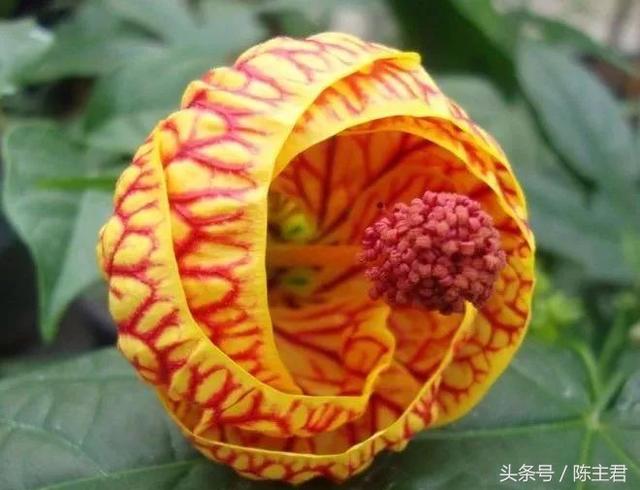 E0Y8988bYMJ3Wz5g.jpg
