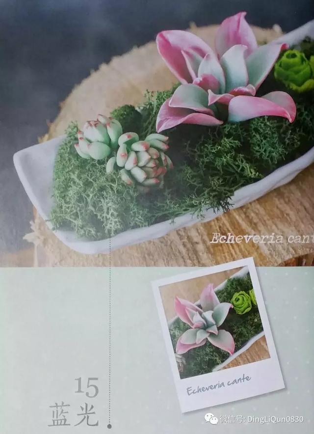 NWMVVDwddZ2NW2dO.jpg