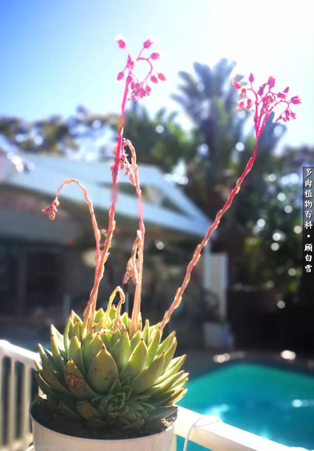 t88h18363B13K63J.jpg