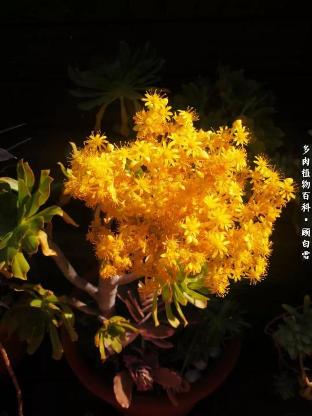 CP0ngS899u88ph59.jpg