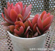 cHnyy8ONYEe7W808.jpg