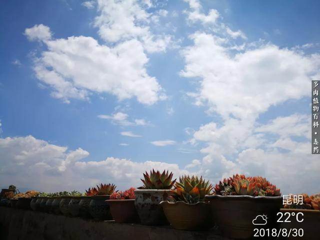 gsV2T4466Vm2q244.jpg