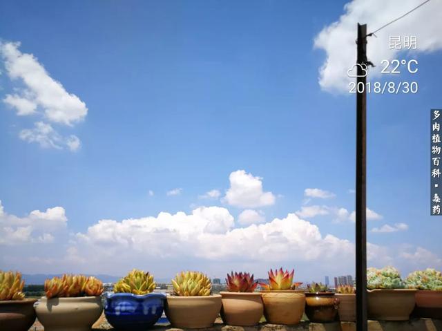 C9hPciZtH89C8ph6.jpg
