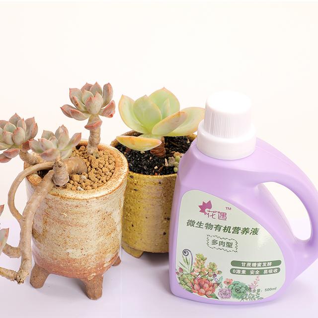 P7a2c2612gc1p012.jpg