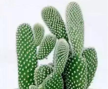 yOtM6DdatudsyUto.jpg