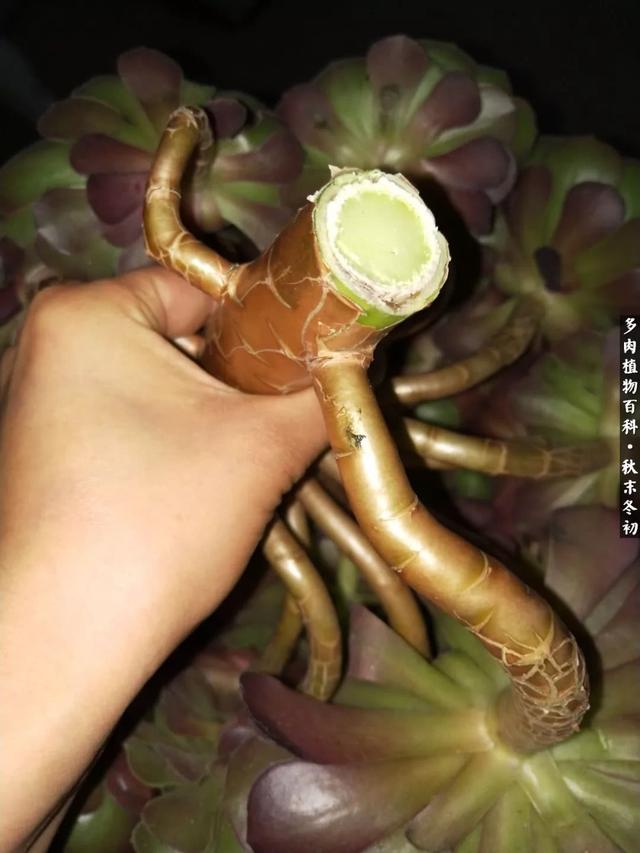 dznZ0m6j5JmM0MEJ.jpg