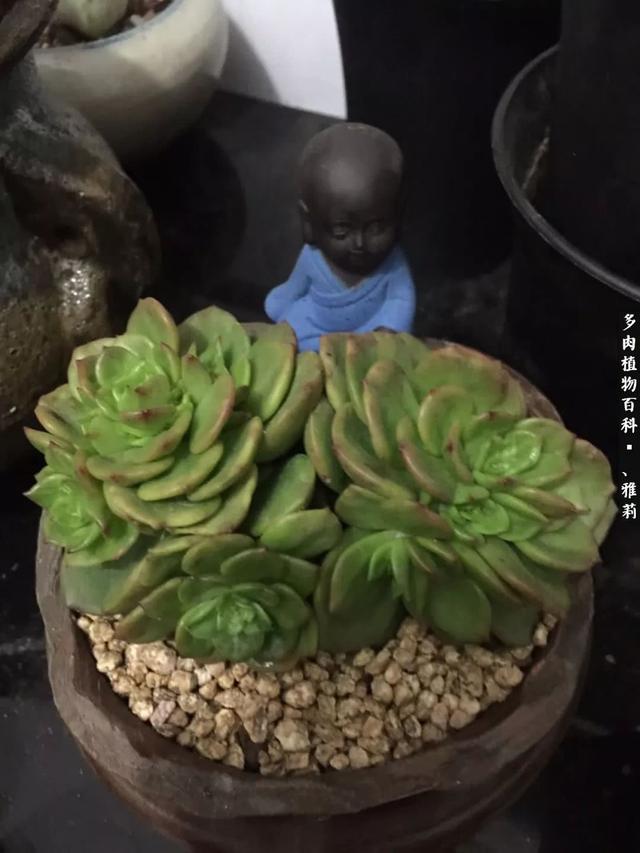 LpYU66P6pLHz65Zi.jpg