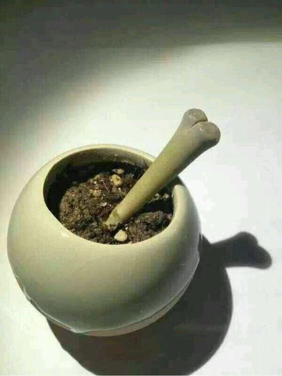lH2GXX8XNLxHRlUt.jpg
