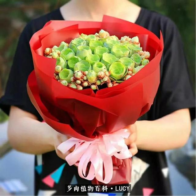 ubgY9w1b2BYW994T.jpg