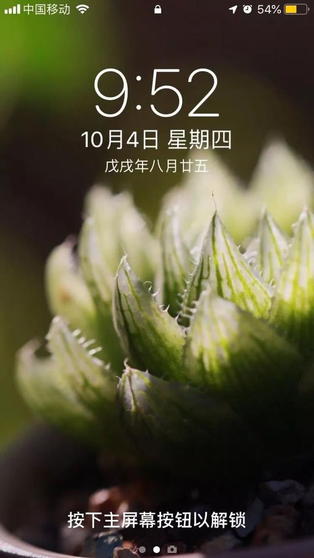 Oa66O05MZLrqArQ1.jpg