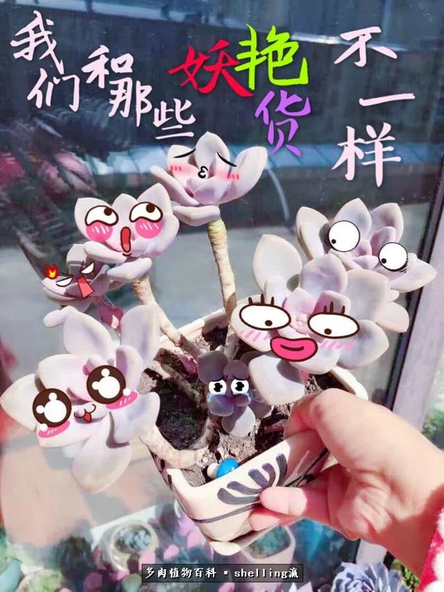 YxM1t00ErsHg1urh.jpg