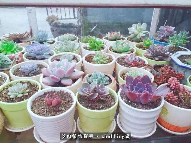 nJYU67aMmPM6Aam6.jpg
