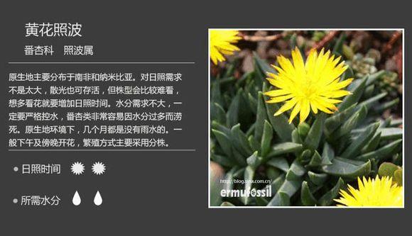 sOc6oIv9bbDZ939D.jpg