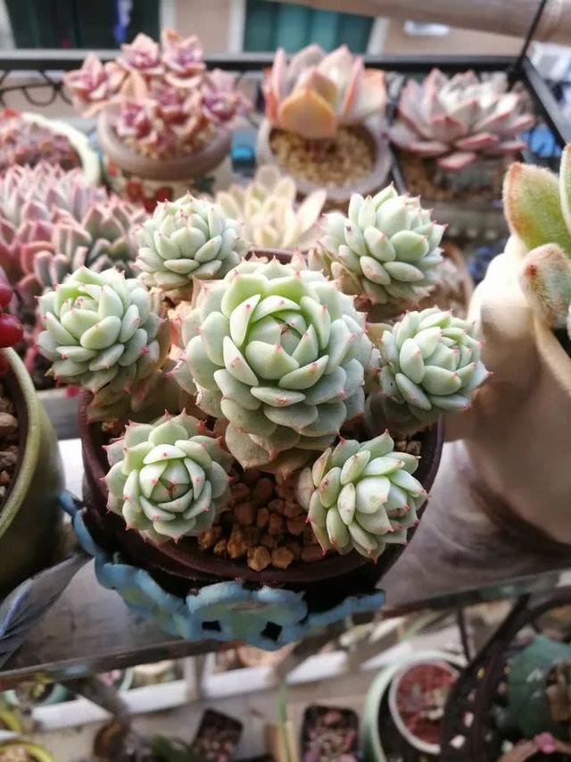 hSiWzl3CYllls4sc.jpg