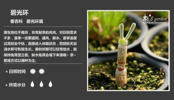 u55747ck5M7i4ZcT.jpg