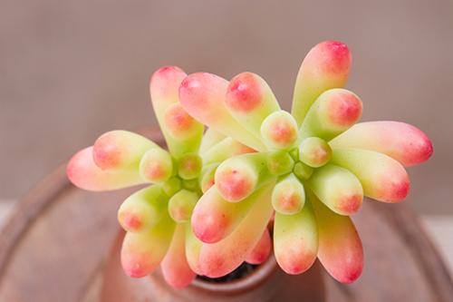 JUJhb92lU7n2HnHU.jpg
