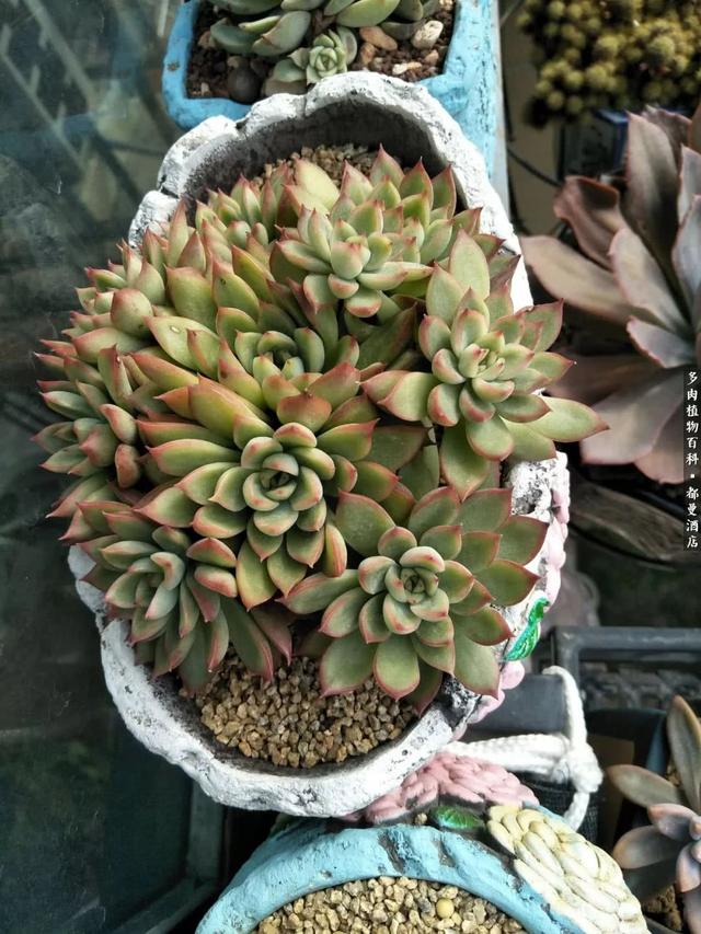o5Mgq57agJq7077a.jpg
