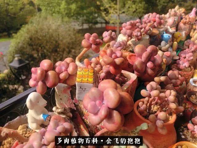 dWISXrb5iRb1ETTW.jpg