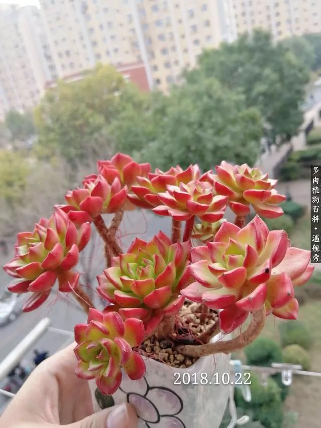 yIafgXx6a7sP2Gp4.jpg