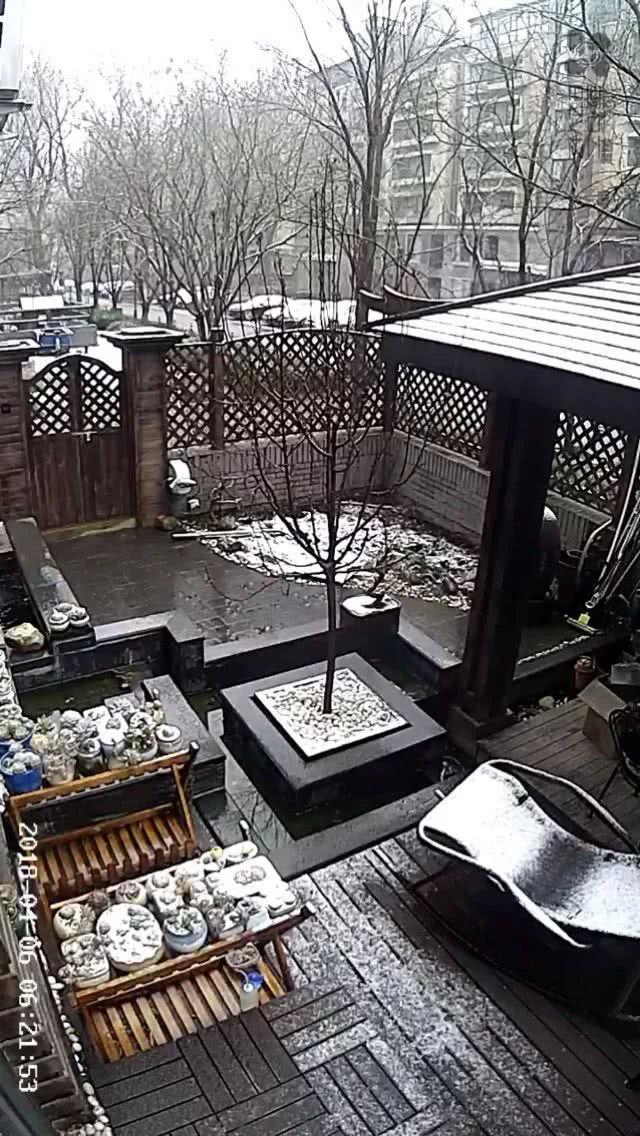 x522uxTfk5ZzL55x.jpg