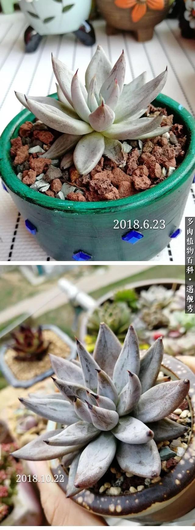 fUIKjjIKI2T6j11R.jpg