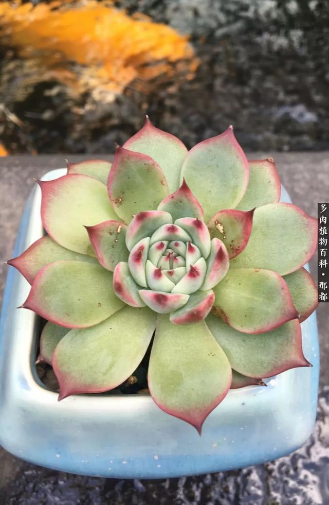 orO33bLHd6hq6Z9g.jpg