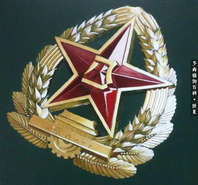 vVSz6dVz676DDarQ.jpg