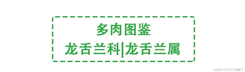 nQJXM8SD8Bosb686.jpg