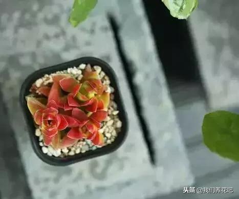 kHPOfzfK749aa7I7.jpg