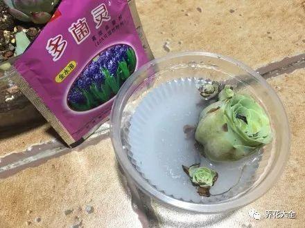 NQlAAqHrMHfXXUBp.jpg