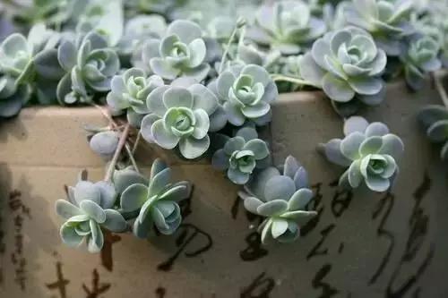ZAYAIeAE0KYx4ZYv.jpg