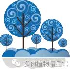 liCI9IPt90PM9s39.jpg