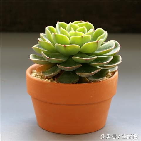 xJGVlvVF7F7V54S7.jpg