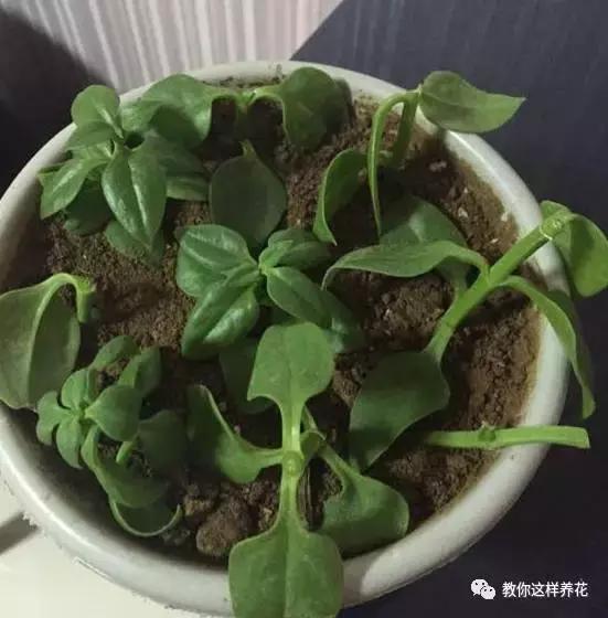 Aph8PKu4Pk9UU8EK.jpg