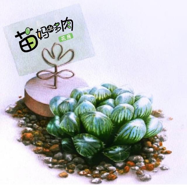 KEB33J4jEo56SPBh.jpg