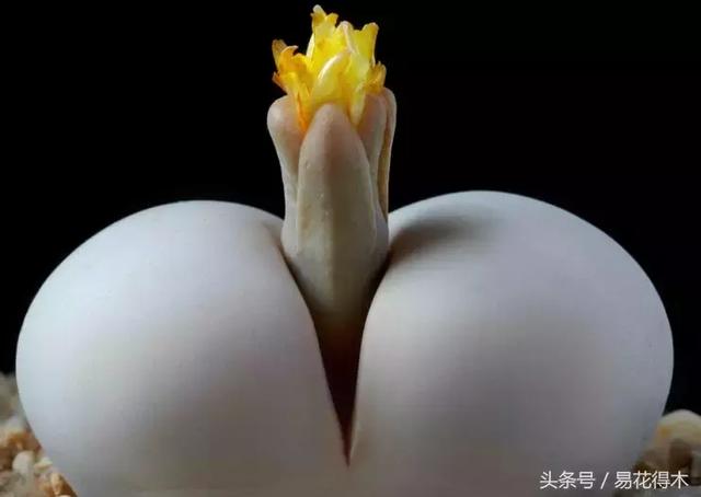 c8Id8C54Ik648fR5.jpg