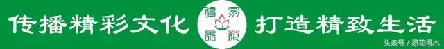 Hd14E6A9gs516LcY.jpg