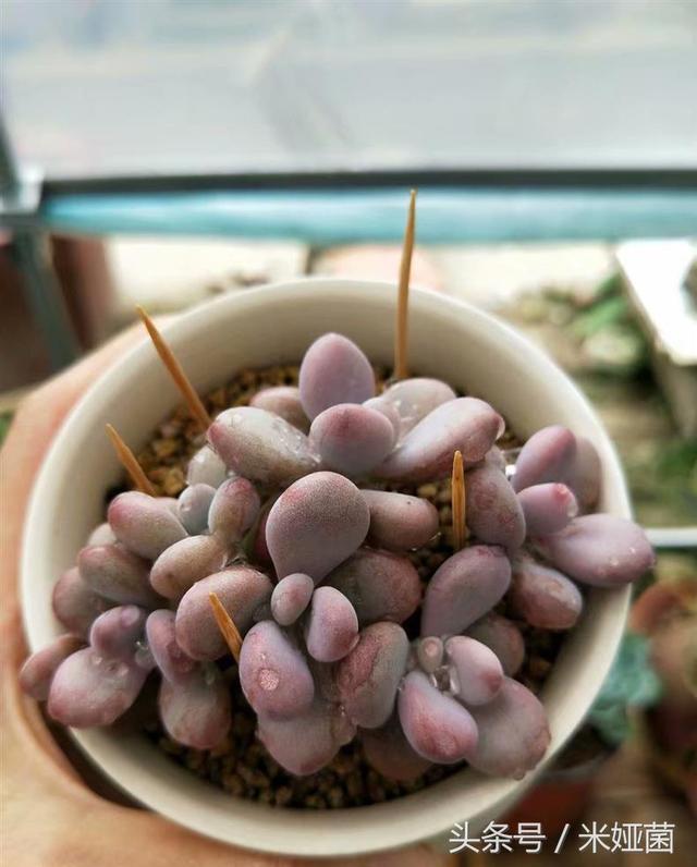 VBHK1IuC2O8dkuDJ.jpg