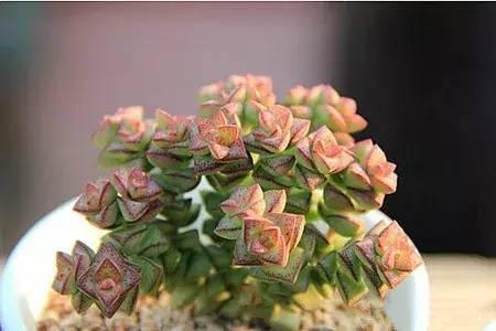 ent4JBx3M9M3xtm9.jpg