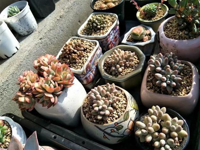 PyAW2yu1VDKkF5Vf.jpg