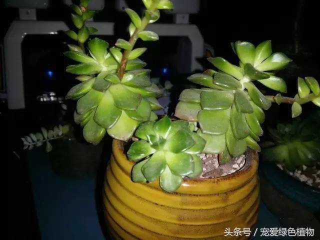 wB0g4n7Kb3b1Rj4g.jpg