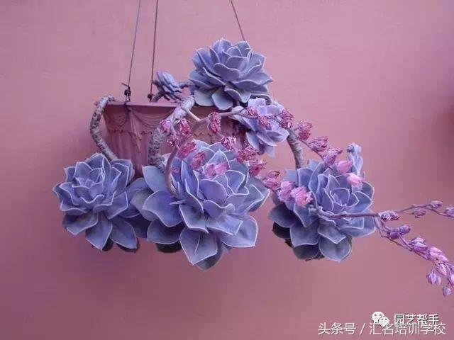 hkgyEx0yJ497HhHD.jpg