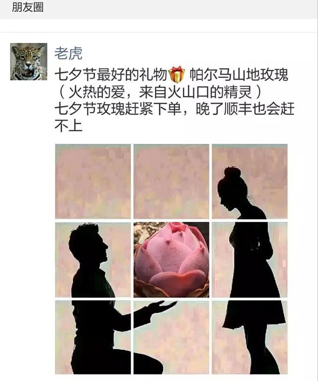 dzXNxmdNC8Db6UZ6.jpg