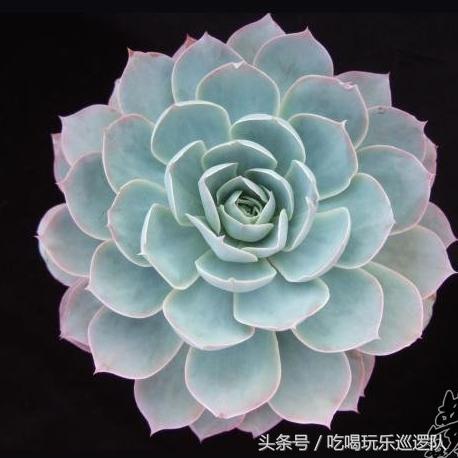 EFh4gLSm5B3343Sh.jpg
