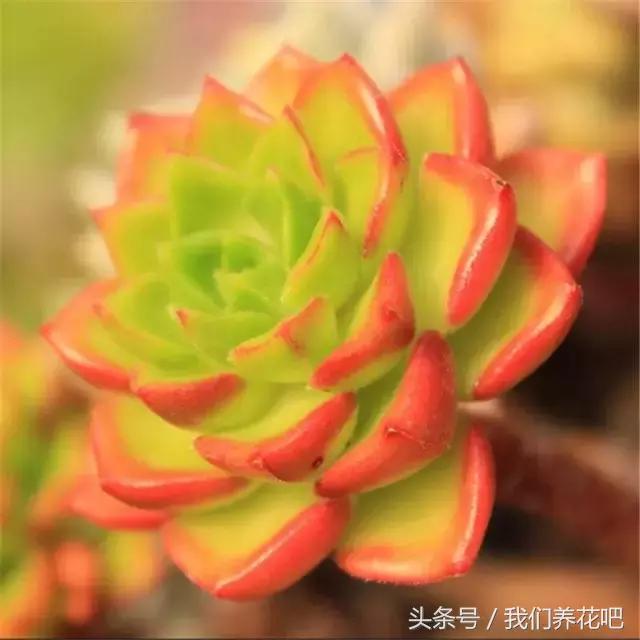 EYNeu6rYor0Jl87N.jpg