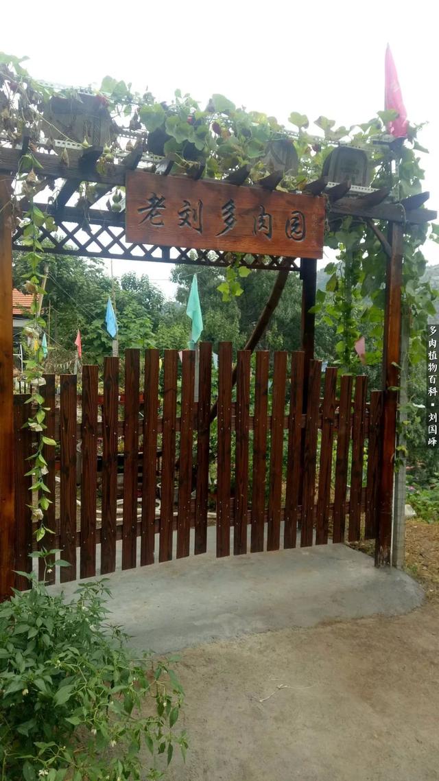 eN9NWz5685ne688E.jpg