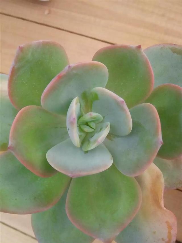 U9uhuVOQfGGgpX8i.jpg
