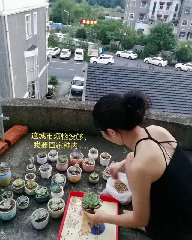 vLzJWhOjJwv896m7.jpg
