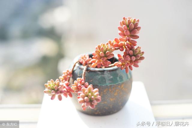 qel0BlUME2rBO2EC.jpg